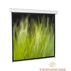 ScreenMedia Goldview [SGM-4306] Экран настенный 229x305 MW