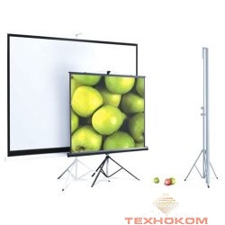 ScreenMedia Apollo [SAM-4303] Экран на штативе,153x203 MW