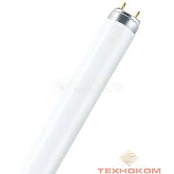 Лампа люминесцентная Osram L36W/765 G13 (упаковка 25 шт)