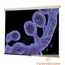 Draper Luma 2 NTSC (3:4) 381/150" 221*295 XT1000E (MW)