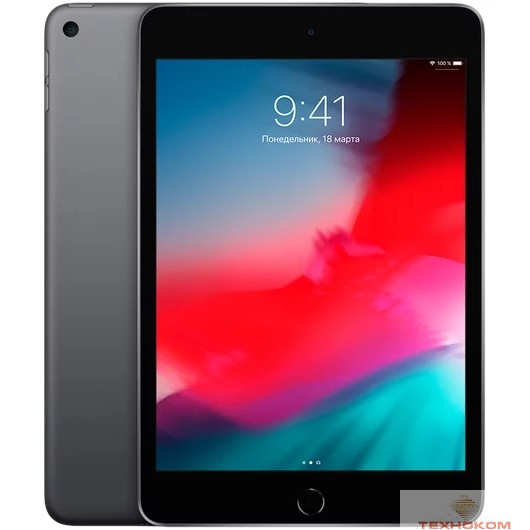 Apple iPad mini Wi-Fi + Cellular 256GB - Space Grey (MUXC2RU/A) New (2019)