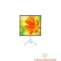 ScreenMedia Apollo [SAM-1106] Экран на штативе,244x244 MW
